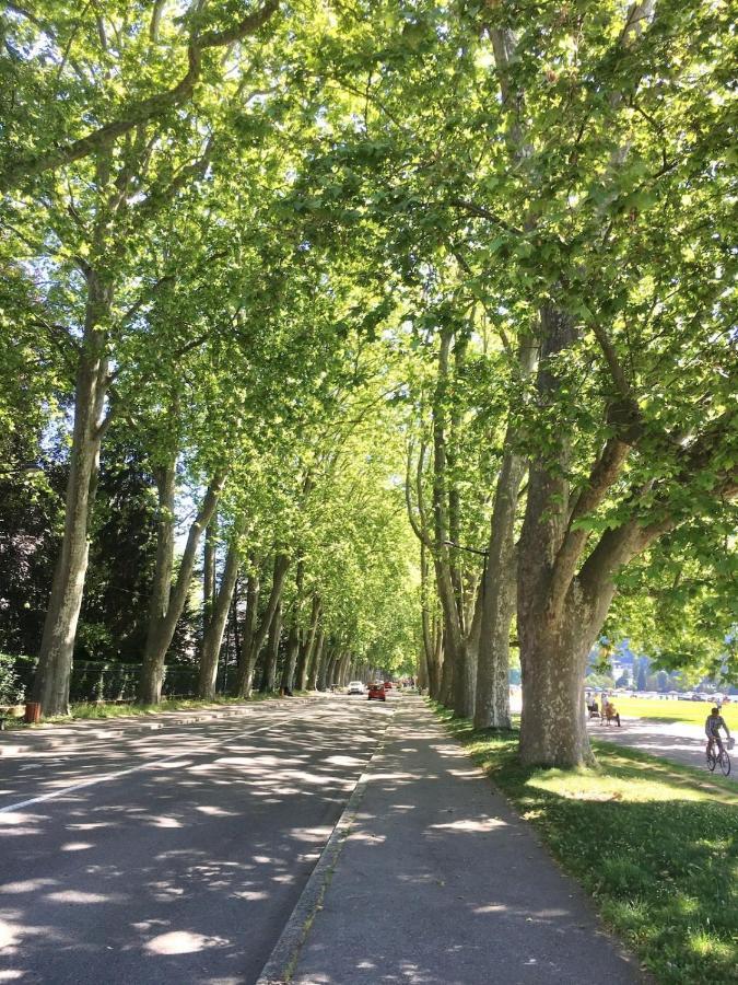 Annecy Center 2 Steps From The Lake Cozy And Renovated! Экстерьер фото